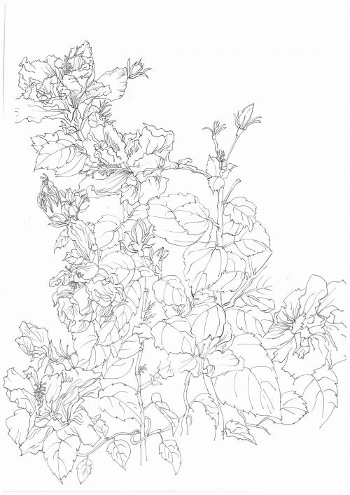 熊本県立大学 Art diploma